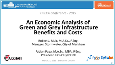 Economic Analysis of Green and Grey Infrastructure presentation cover page