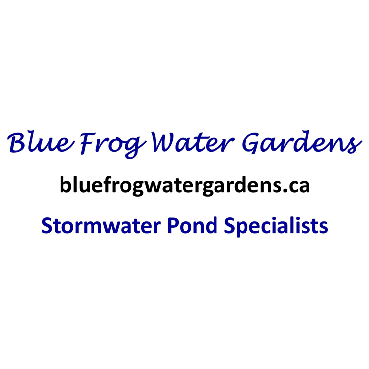 Blue Frog Water Gardens