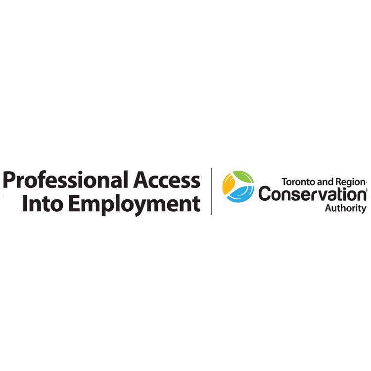 Professional Access Into Employment - PAIE