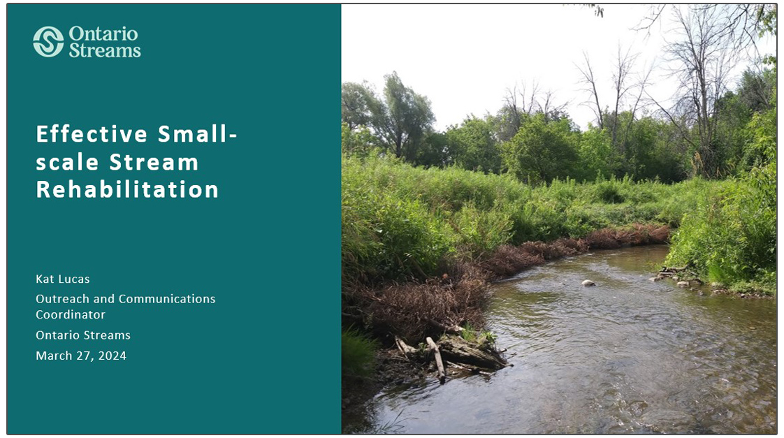 Effective Small-Scale Stream Restoration - presentation by Kat Lucas