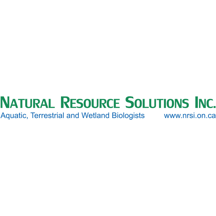 Natural Resource Solutions Inc